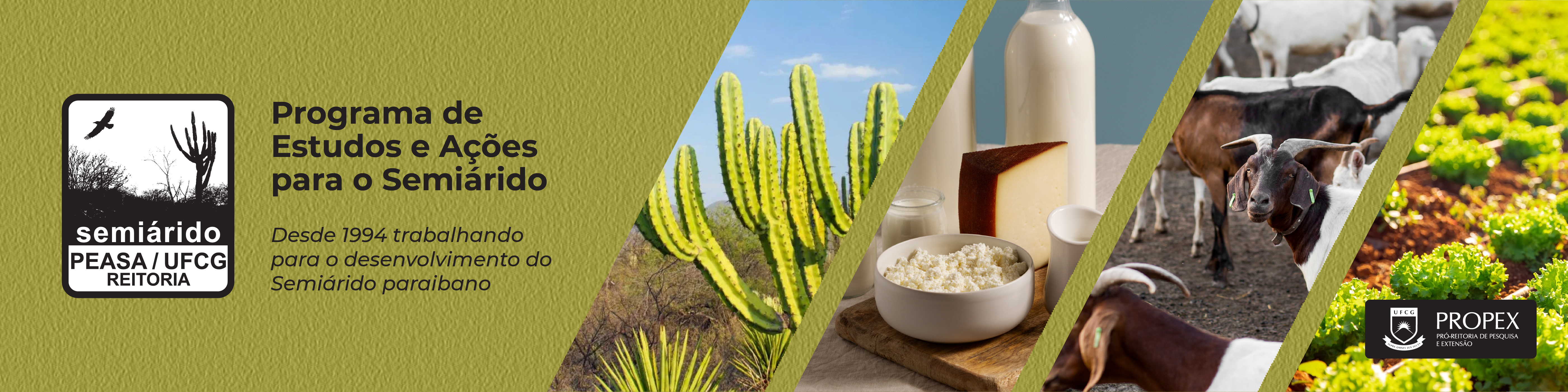 Programa de Estudos e Ações para o Semiárido